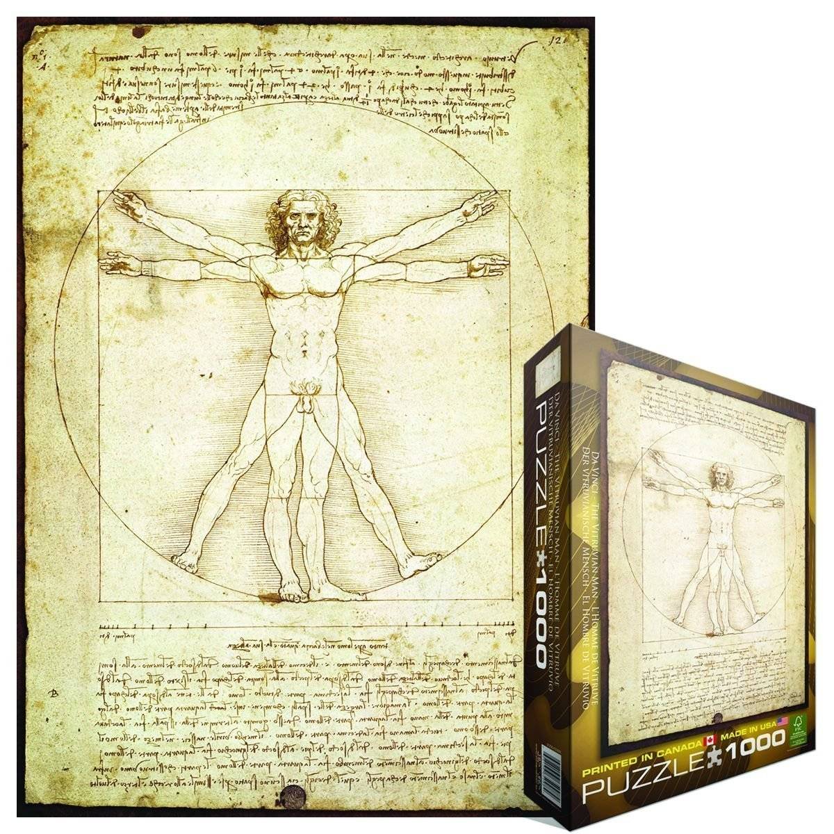Dėlionė "Vitruvijaus žmogus" Leonardo Da Vinci