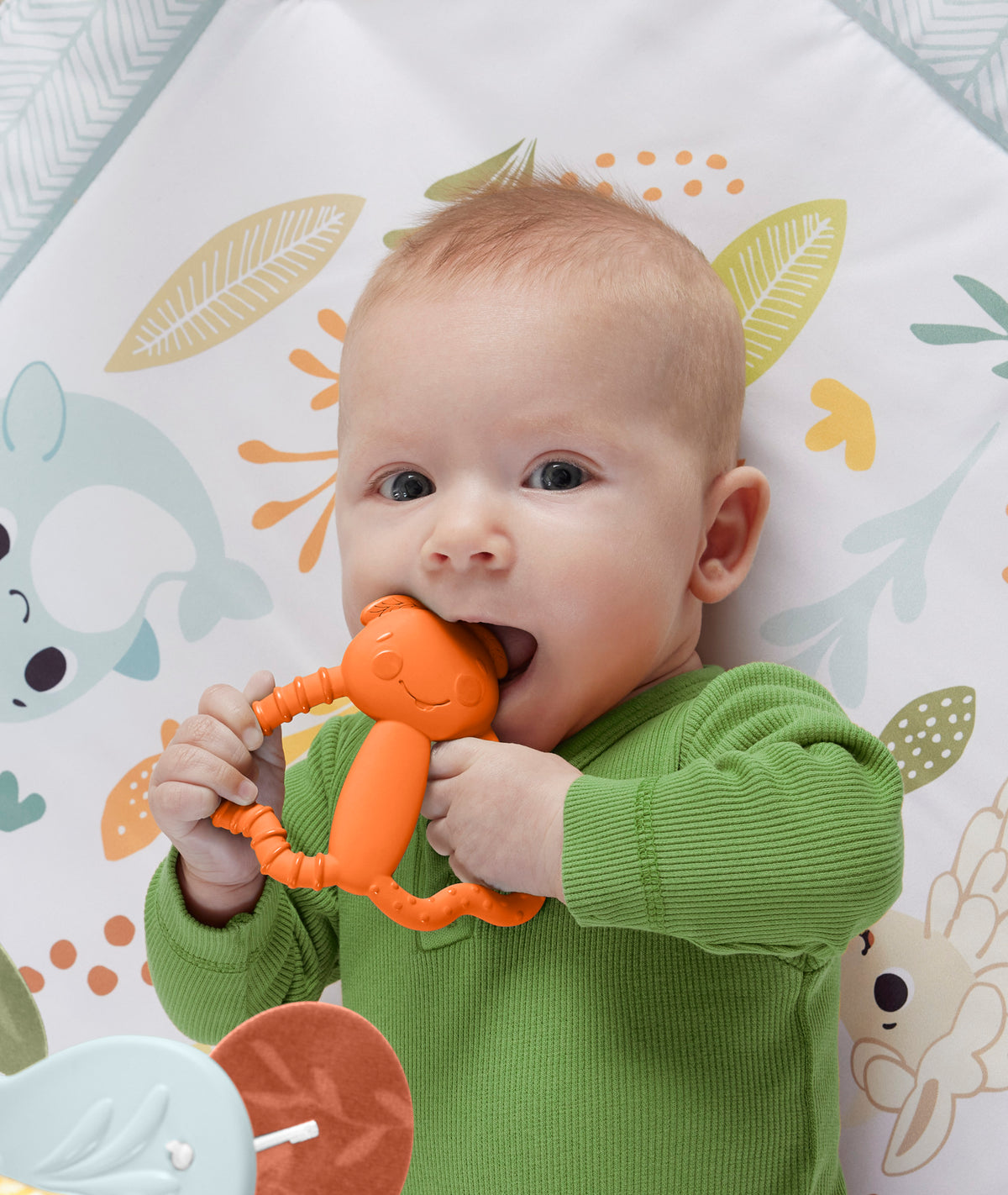 FISHER-PRICE kramtukas – Spalvotas draugas (JFJ95)