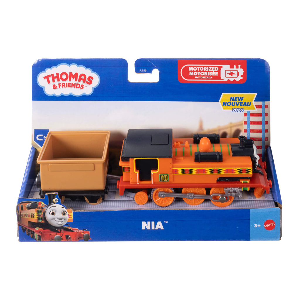 THOMAS AND FRIENDS motorizuotas traukinukas su vagonu (JLL44)
