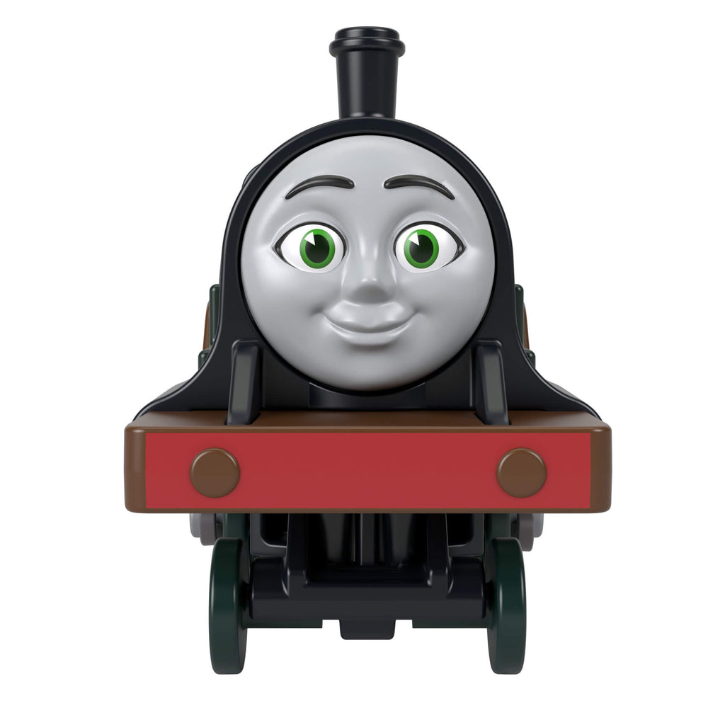 THOMAS AND FRIENDS motorizuotas traukinukas su vagonu (JLL44)