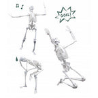 Konstruktorius Žmogaus skeletas 45 cm