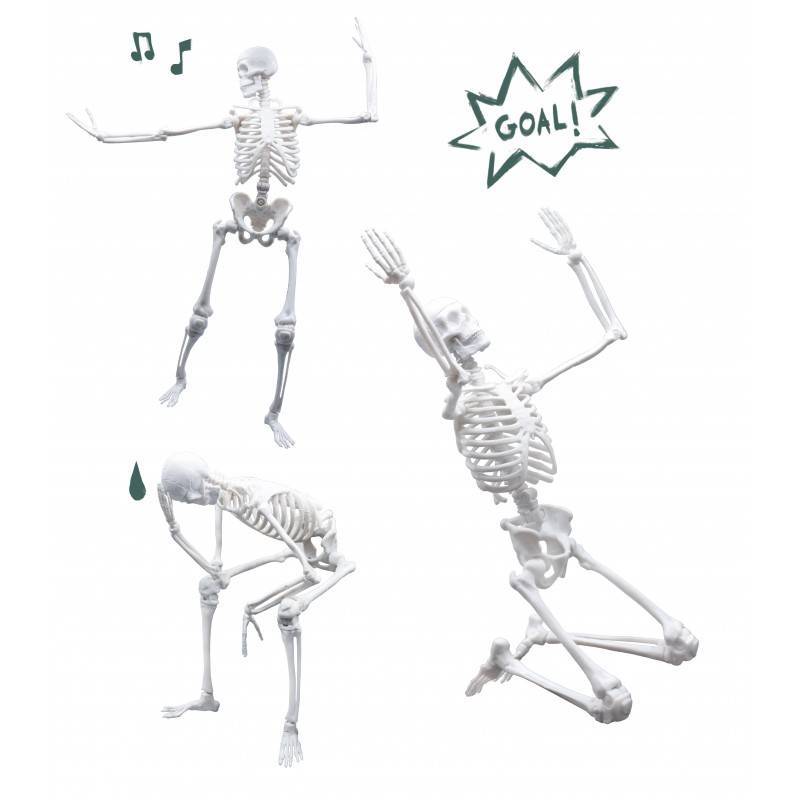 Konstruktorius Žmogaus skeletas 45 cm