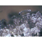 Mikroskopas Erudit ICD Stereo 20x/40x