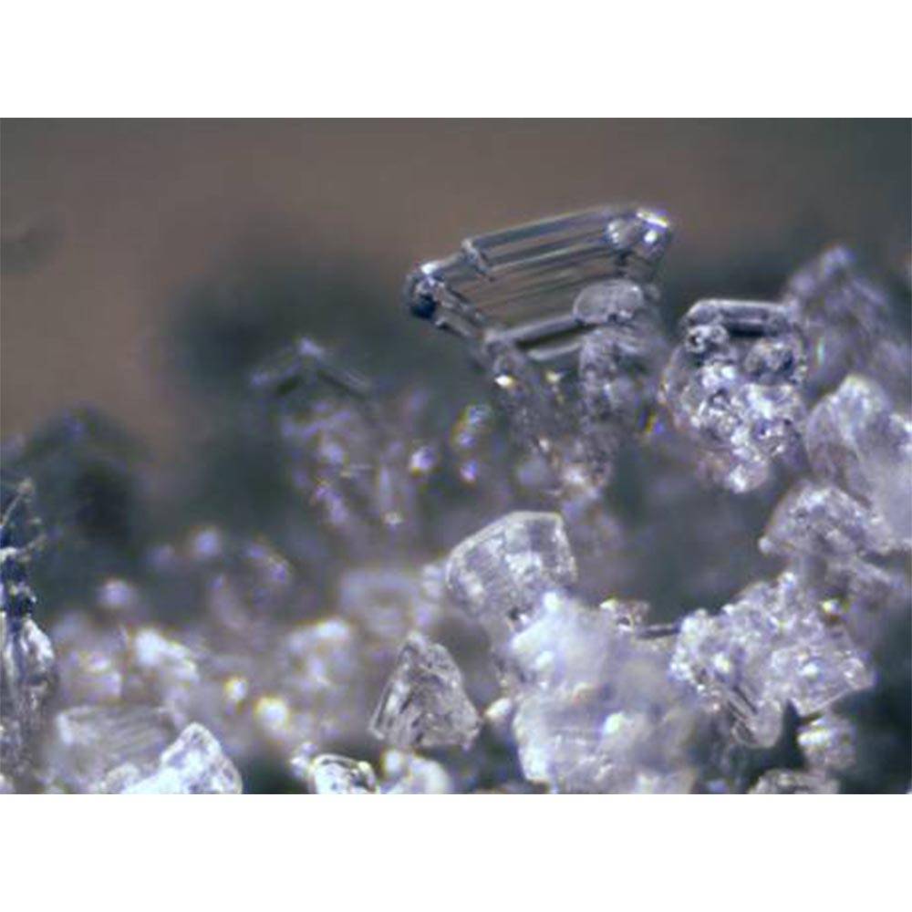 Mikroskopas Erudit ICD Stereo 20x/40x