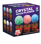 Crystal Magic Flower kristalų auginimo rinkinys vazonėlyje