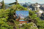 Stalo žaidimas „Cascadia“