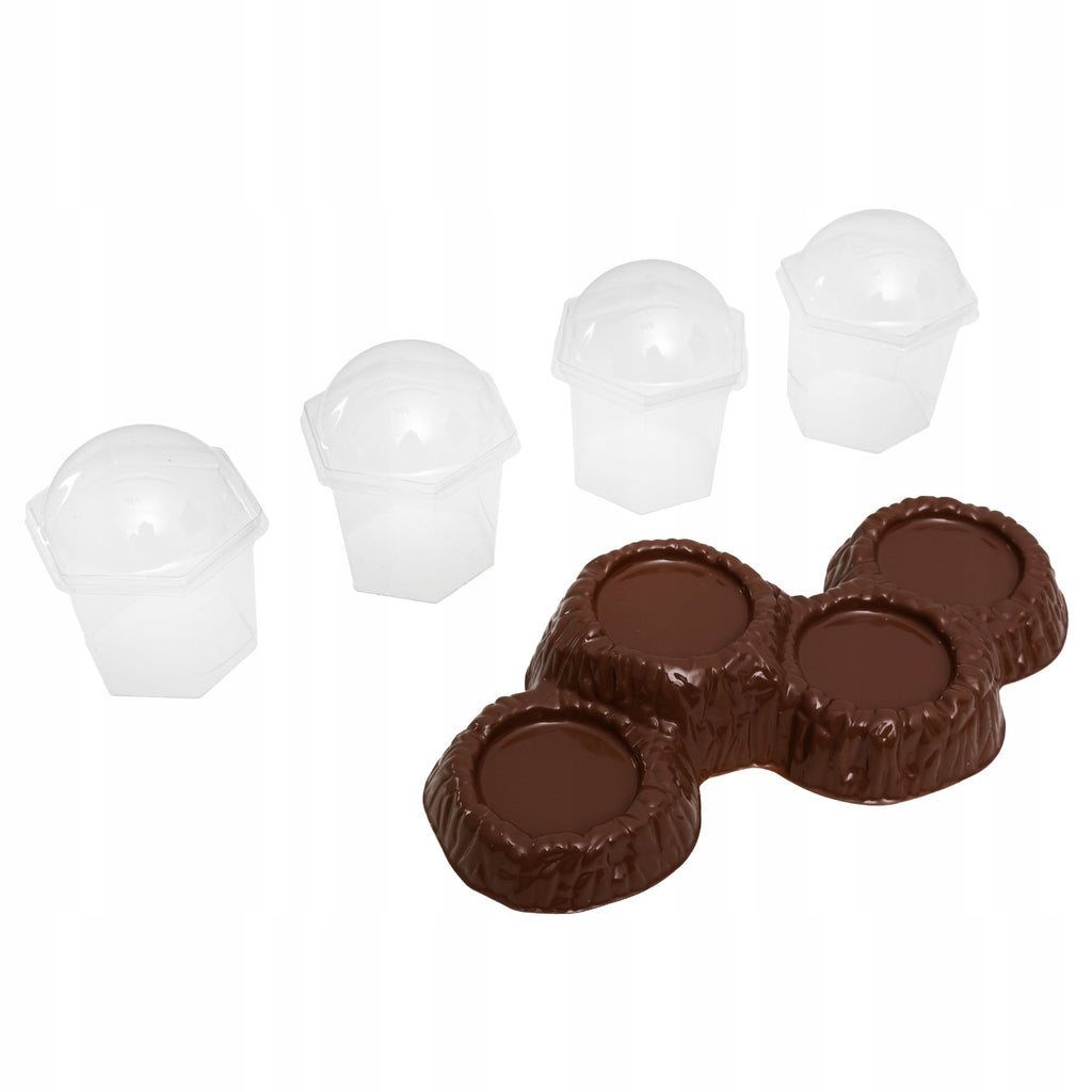 click4TOYS STEM Dinosaur Crystal kristalų auginimas ant dinozaurų, 4 vnt.