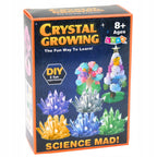 CRYSTAL GROWING kristalų auginimo rinkinys