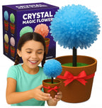 Crystal Magic Flower kristalų auginimo rinkinys vazonėlyje