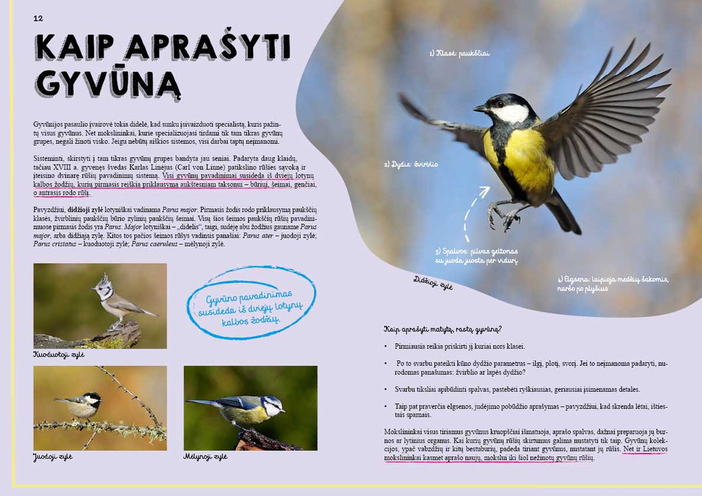 Knyga „Lietuvos gyvūnų didžioji knyga“