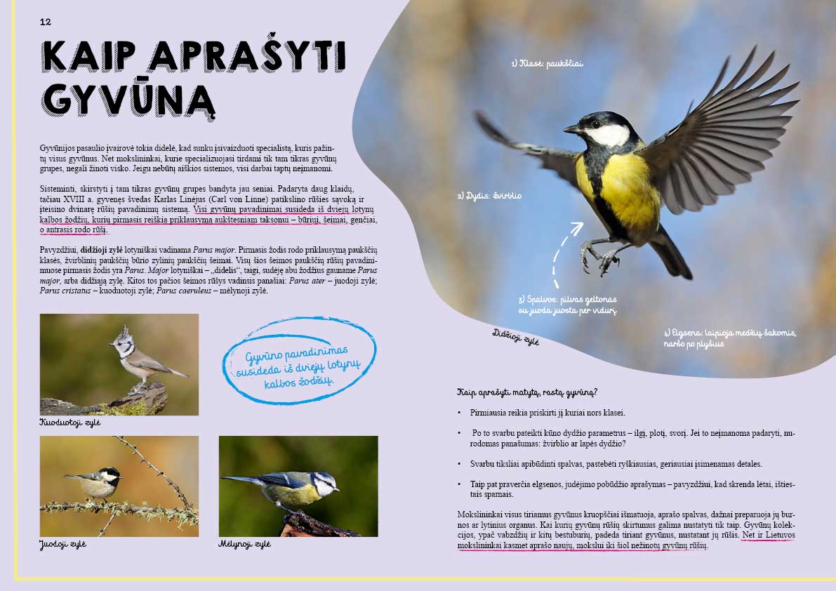 Knyga „Lietuvos gyvūnų didžioji knyga“