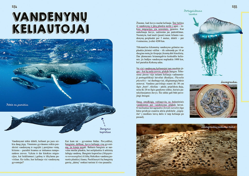 Knyga „Pasaulio gyvūnų didžioji knyga“