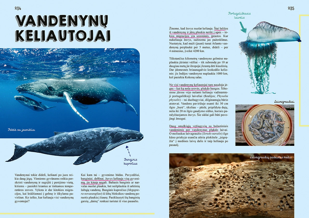Knyga „Pasaulio gyvūnų didžioji knyga“