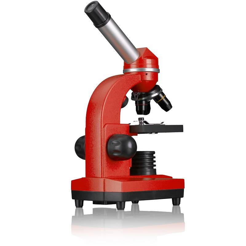 Mikroskopas BIOLUX SEL JUNIOR Student 40x-1600x Raudonas