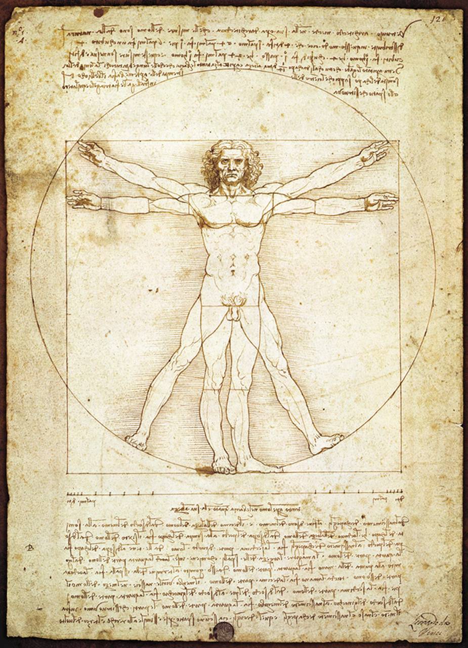 Dėlionė "Vitruvijaus žmogus" Leonardo Da Vinci