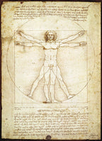 Dėlionė "Vitruvijaus žmogus" Leonardo Da Vinci