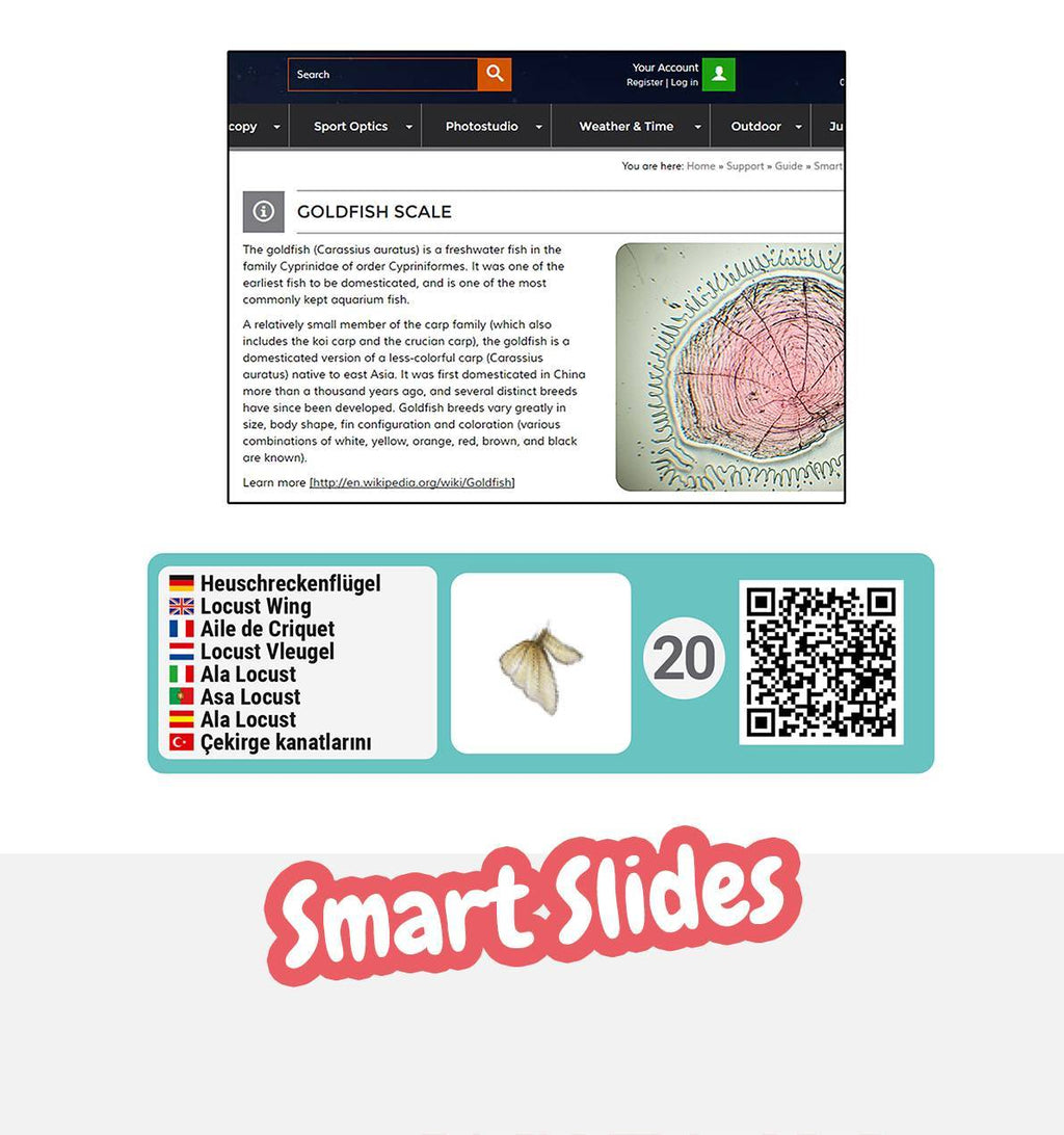 Mikroskopas Junior 40x-640 su priedais