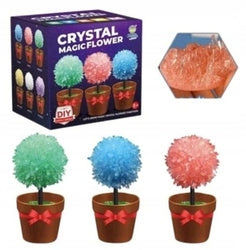 Crystal Magic Flower kristalų auginimo rinkinys vazonėlyje