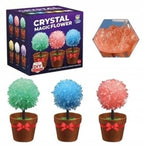 Crystal Magic Flower kristalų auginimo rinkinys vazonėlyje