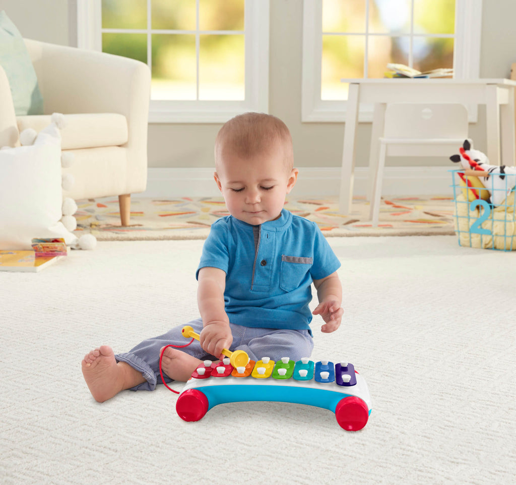 FISHER-PRICE ksilofonas (CMY09)