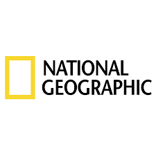 Profesionalus metalo detektorius National Geographic 20cm gylis