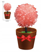 Crystal Magic Flower kristalų auginimo rinkinys vazonėlyje
