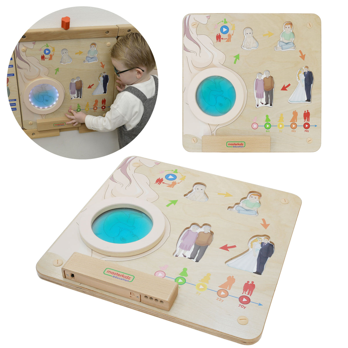 MASTERKIDZ Montessori lavinamoji lenta „Žmogaus gyvenimo ciklas“