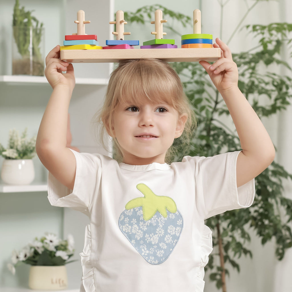 VIGA medinė Montessori formų rūšiuoklė