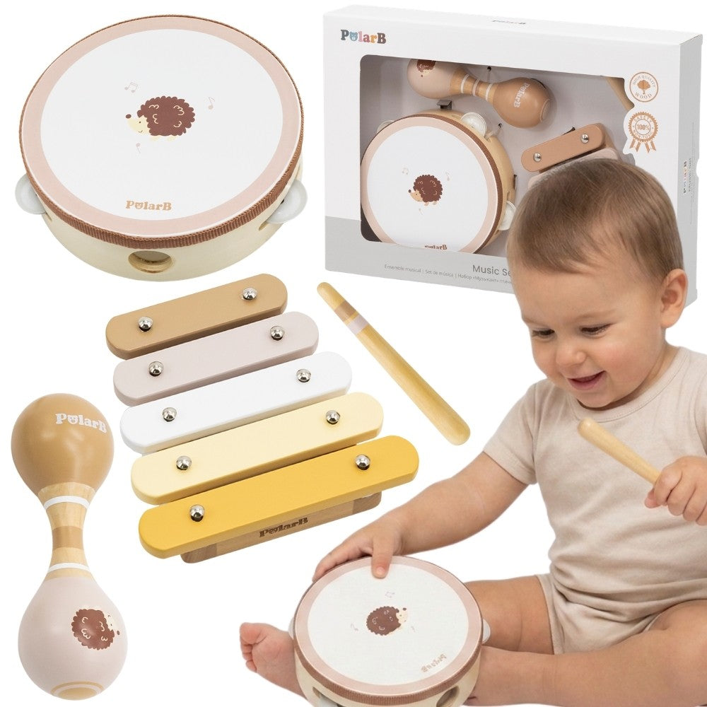 VIGA PolarB muzikos instrumentų rinkinys su ežiuku