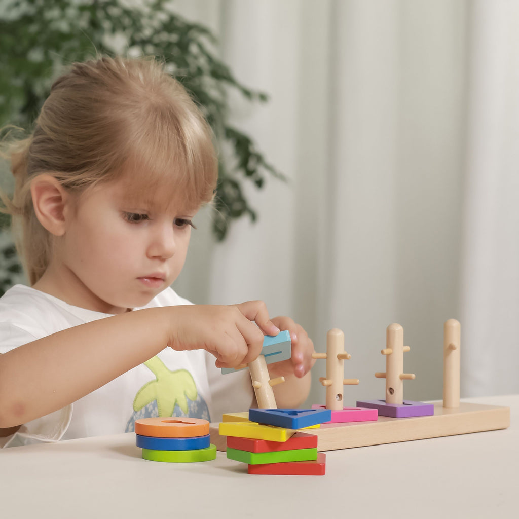 VIGA medinė Montessori formų rūšiuoklė