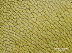 Mikroskopas Biolux Touch 5MP HDMI