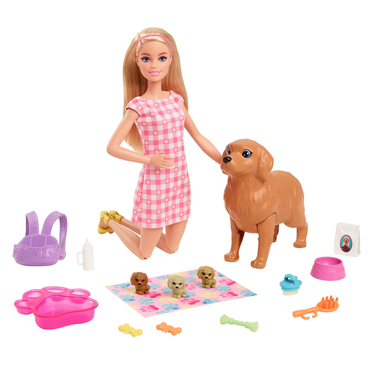 BARBIE šunelių naujagimių rinkinys (HCK75)