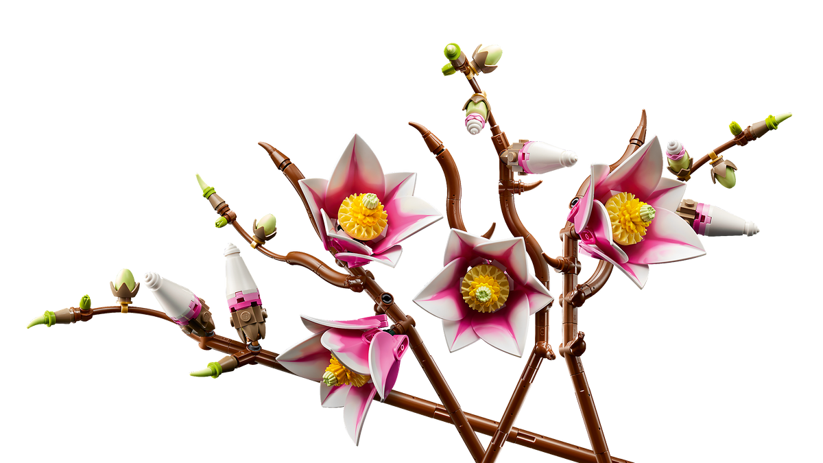 LEGO Botanicals 11510 Magnolijos šakos