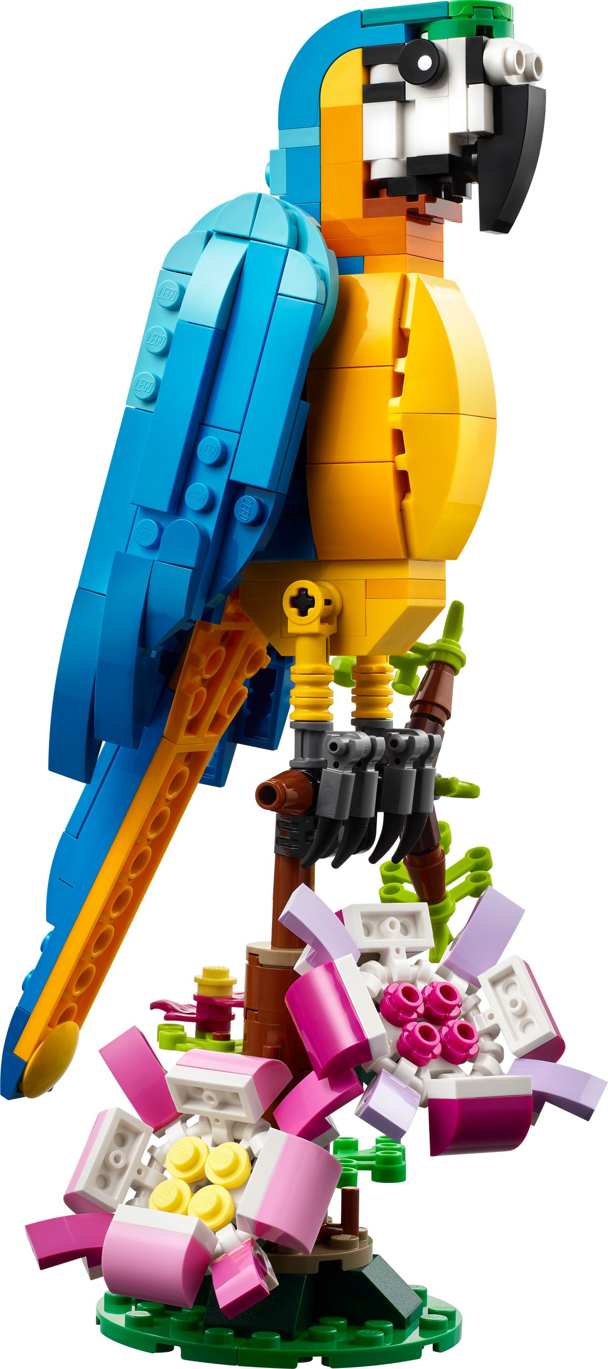 LEGO Creator 31136 Egzotinė papūga