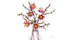 LEGO Botanicals 11510 Magnolijos šakos