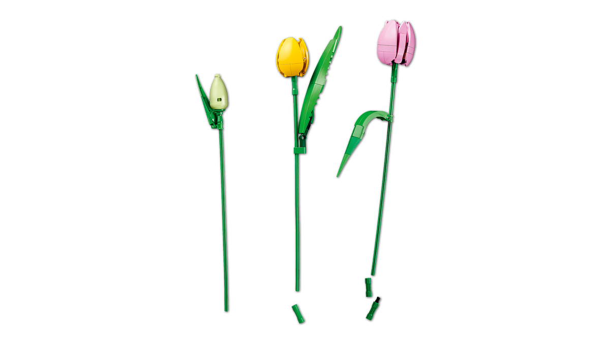 LEGO Botanicals 11501 Tulpių puokštė