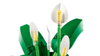 LEGO Botanicals 11504 Spatifilis