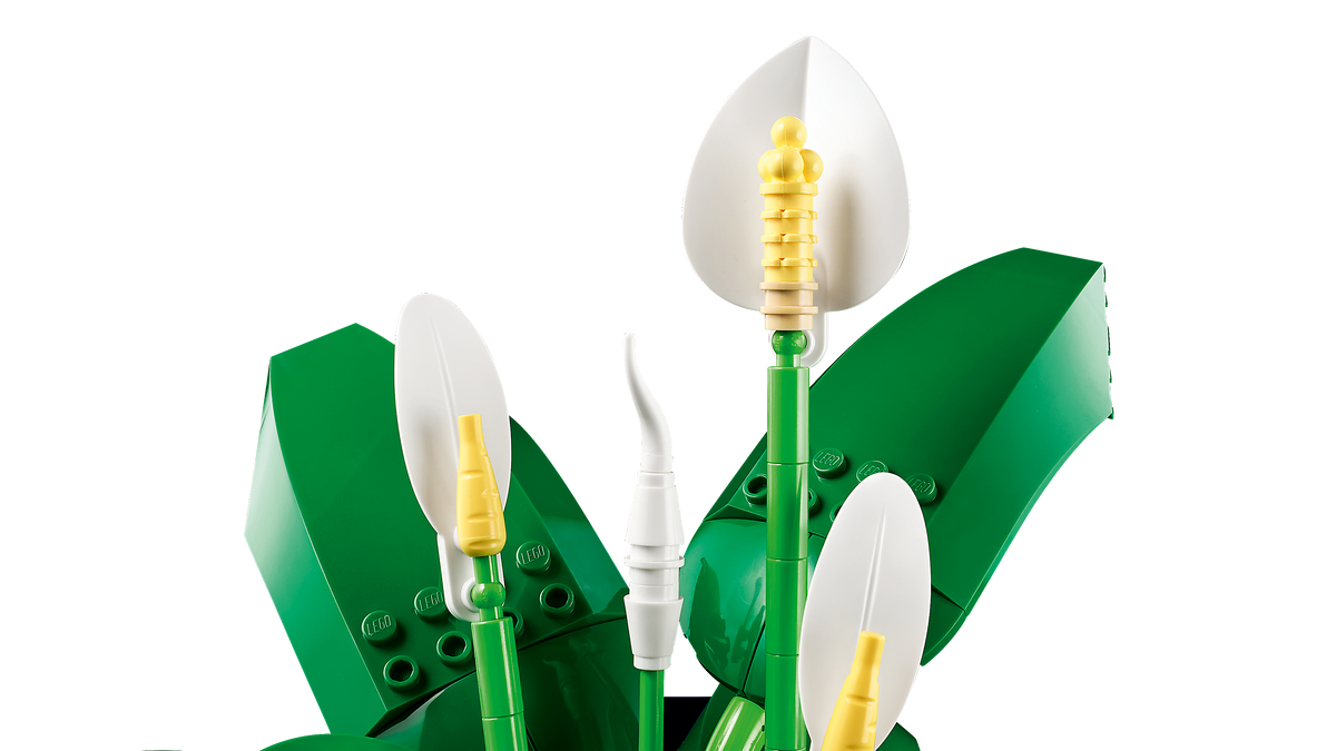 LEGO Botanicals 11504 Spatifilis