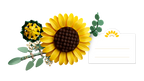 LEGO Botanicals 11502 Saulėgrąžų puokštė