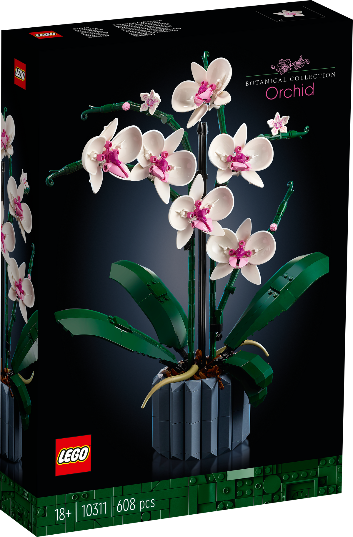 LEGO Botanicals 10311 Orchidėja
