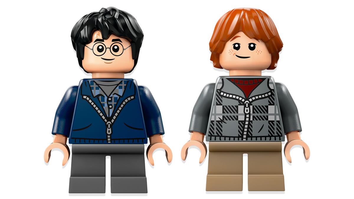 LEGO Harry Potter 76434 Aragogas Uždraustajame miške