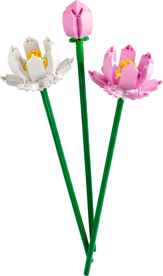 LEGO Botanicals 40647 Lotoso žiedai