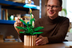 LEGO Botanicals 11504 Spatifilis