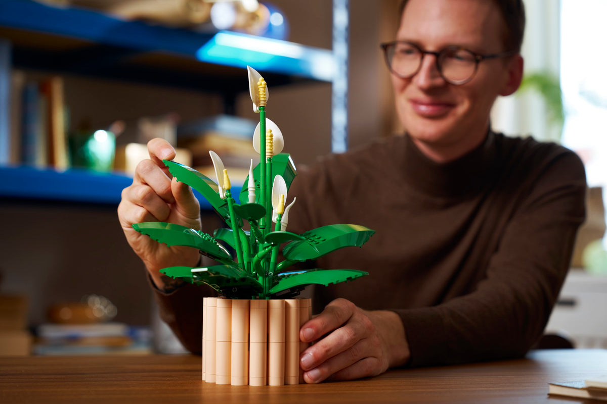 LEGO Botanicals 11504 Spatifilis