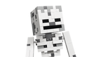 LEGO Minecraft 21594 Skeletas