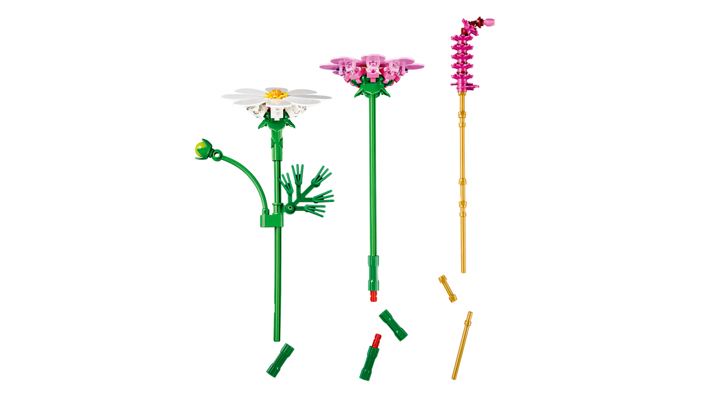 LEGO Botanicals 11514 Kosmėjos