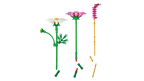 LEGO Botanicals 11514 Kosmėjos