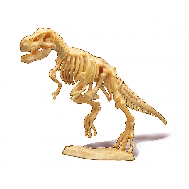 Buki Dino Dig tiranozauro kasinėjimai su tikru mozazauro dantimi