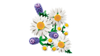 LEGO Botanicals 11508 Ramunės