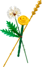 LEGO Botanicals 30701 Lauko gėlės